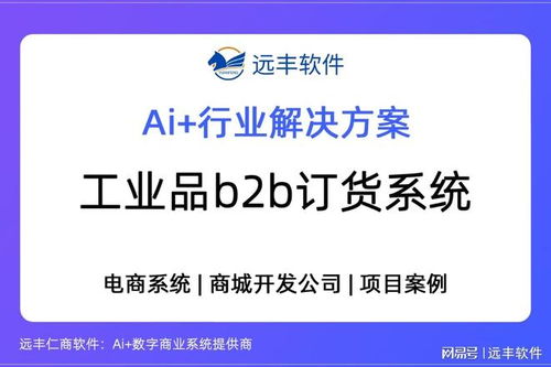 遠(yuǎn)豐軟件 以工業(yè)品B2B訂貨系統(tǒng)為核心，打造供應(yīng)鏈數(shù)字引擎，賦能數(shù)字內(nèi)容制作服務(wù)